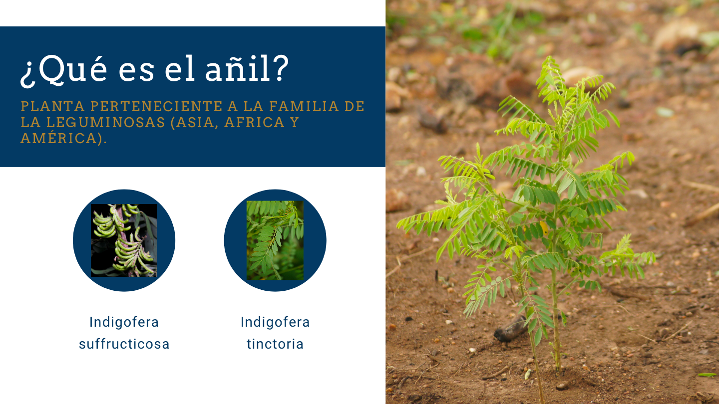 Añil :: Viaje/Taller Azul Añil